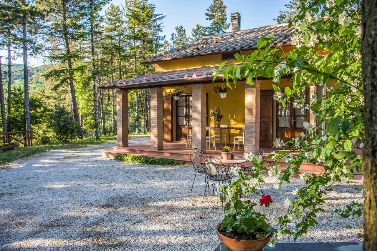 Il Ginepro Villa Cortona Dış mekan fotoğraf