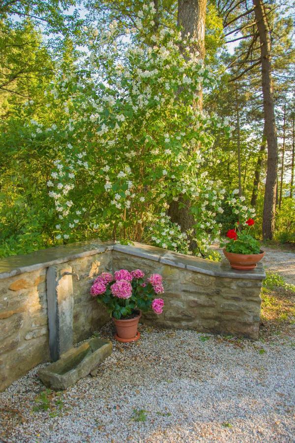 Il Ginepro Villa Cortona Dış mekan fotoğraf