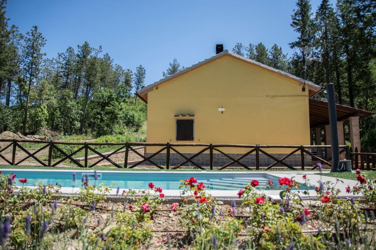 Il Ginepro Villa Cortona Dış mekan fotoğraf